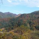 고지농장 이미지