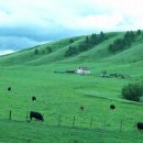 푸른목장 이미지