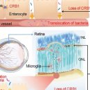 수원시 팔달구 팔달문로57번길 이미지