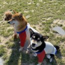 찰리팜하우스 이미지