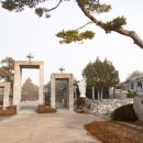 버그내순례길 중앙일보