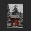 제갈덮밥 - 속초시 교동로 52 | 나는 감정없는 싸이코라그런가 이런거보면 미동도안함. 오히려 웃음이나온달까?