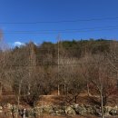 우쭈쭈 내강아지 | 문경 애견동반 캠핑장 리우캠핑장 | 식솔들(강아지랑 동생) 데리고 올해 동계캠핑 시작