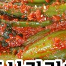 자매돌산갓김치 이미지
