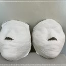 켈리스파 이미지