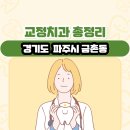 우성온누리약국 | 경기도 파주시 금촌동 교정치과 총정리