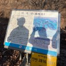 [등린이의 하루] 친구들과 함께한 안동 아기산 등산 🥾🌿