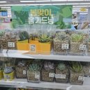 다이소안동용상점
