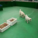 다루농장 이미지