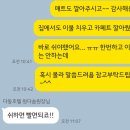 다둥 반려견 호텔 유치원 이미지