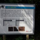 지산농원 이미지