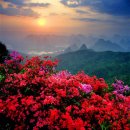 서04-415 Daum카페