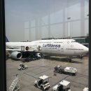 호텔자유1 | 마카오 자유여행 1일차 일정 | 호텔 리스보아 · 세나도광장 · 이순밀크컴퍼니 후기