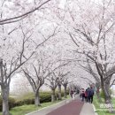진이의류