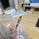 꿈이있는치과의원 이미지