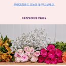 택배농장 이미지