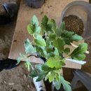 무화농장2 이미지