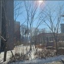 단지내일등공인중개사사무소 네이버블로그