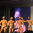 팀코리아몬스터 이미지