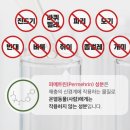 초파리없애는법 나방파리퇴치 화장실날파리 ‘시나몬이오’ 후기