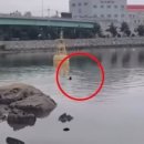 진해구 ⓒ-26 이미지