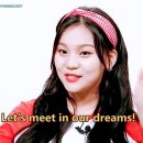 심플리즈