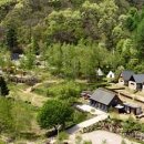 자연숲 펜션 이미지