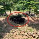 승호농장 이미지