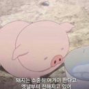 리디아스튜디오