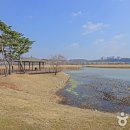 둔배미공원 이미지