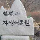 용궐산(순창) 백패킹! (12/9,10.) 이미지