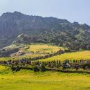 JC공원PC 이미지