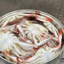 대화 족구장 | 고양 피크닉 시민공 방문후기