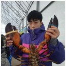 동교실내낚시터 네이버블로그