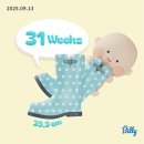 부평우일 | 임신 31주 | 만삭사진도 찍고, 베페도가고 행복한 한 주