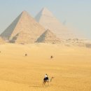 고대1090 이미지