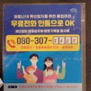 돈돼지복돼지 이미지