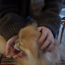 후추하우스