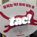 러쉬캣 | 2026 서울 국제 도서전 (6/26, 금) 후기: 뭘 샀고 뭘 봤나