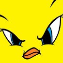 트위티 카카오 검색결과