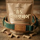 마이펫용품할인매장 | 2026 송도 마이펫페어 후기 펫박람회 오픈런 꿀팁 및 추천간식 리스트