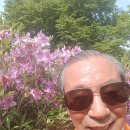 평화강변수목캠핑장 이미지