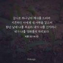 중앙장로교회 이미지