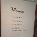 르쟈뎅블루