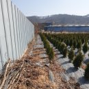 안담농장 이미지