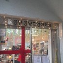 꽁냥꽁냥 | 고양이카페 꽁냥꽁냥 후기