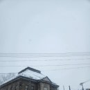 제르망 | [홋카이도 여행]오타루 오르골당 & 오타루 생제르망 후기