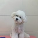 러브몽먼트 이미지