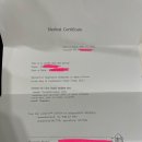 을지바른의원 | 검사 하루 전에 나오는 곳:: 서울 을지바른의원 코로나검사 후기 #델타항공코로나검사 #해외출국_신속...