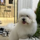 코튼빌리지 부산본점 이미지